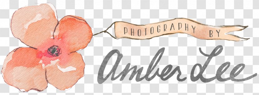 Photography By Amber Lee Photographer Fine-art Infant - Cartoon Transparent PNG
