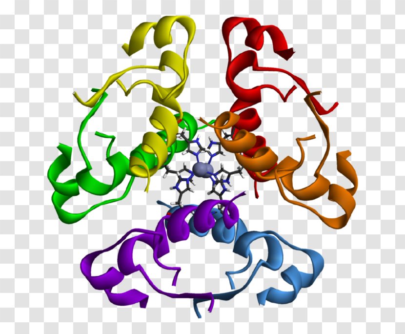 Insulin Resistance Hormone Glucagon Diabetes Mellitus - Hexamer - Type 1 Transparent PNG