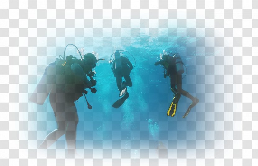 Scuba Diving Marsa Alam Hurghada Dry Suit Underwater - SCUBA DIVING Transparent PNG