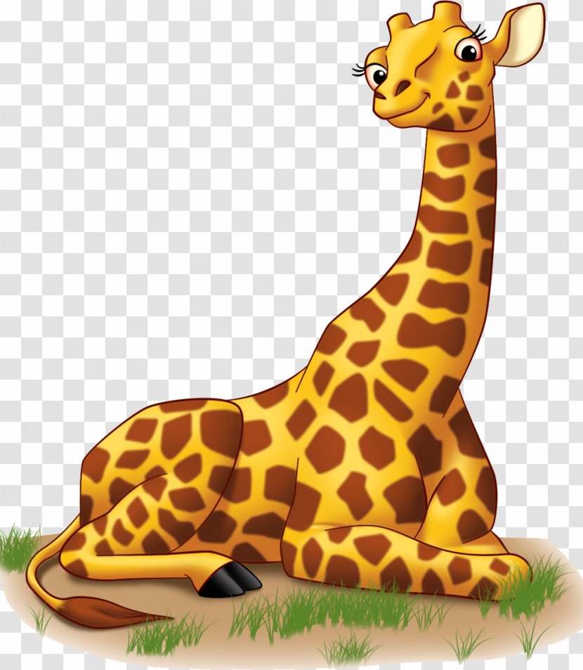 Clip Art Image Northern Giraffe Vector Graphics - Mammal - Geo Banner Transparent PNG