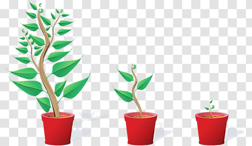 Flowerpot Leaf Plant Flower Houseplant - Stem Transparent PNG