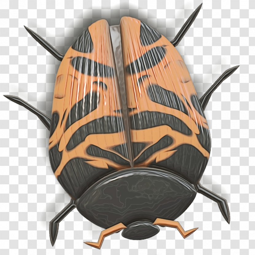 Cockroach Insect Pest - Wet Ink Transparent PNG