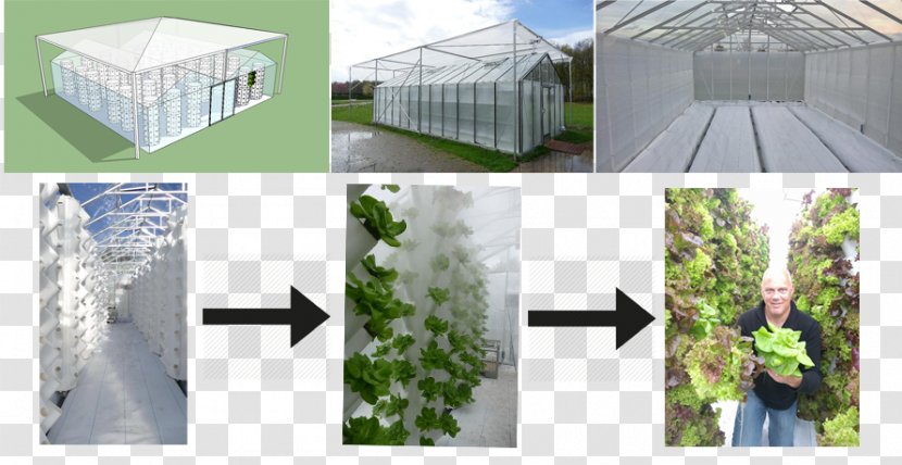 Stimulus Programmamanagement Urban Agriculture Market Garden Ponics Farm - Shade Transparent PNG