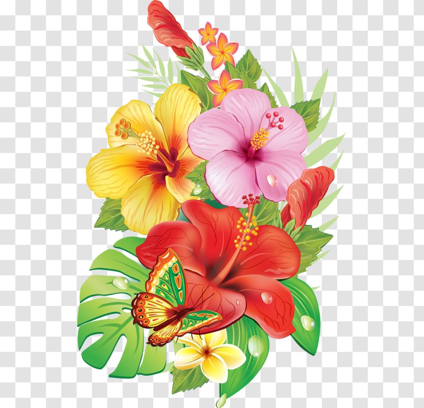 Flower Drawings Royalty-free - Stock Photography - Continental Corner Transparent PNG