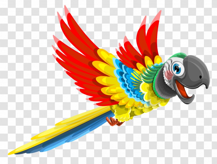 Parrot Bird - Beak - Vector Transparent PNG