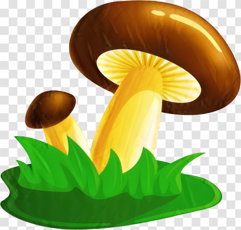 Clip Art Flower Mushroom - Edible Transparent PNG