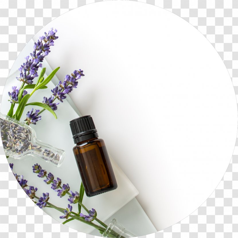 Essential Oil Lavender DoTerra - Sweet Scented Osmanthus Transparent PNG