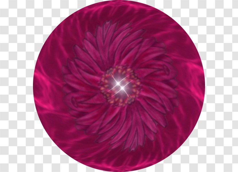 Magenta Circle - Petal - Glimmer Transparent PNG