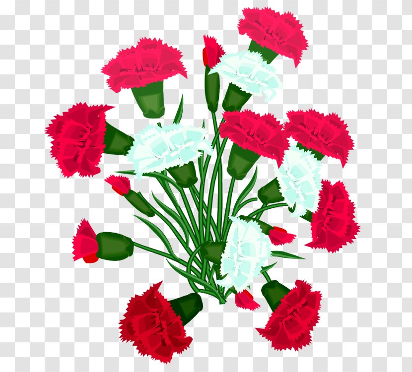 GIF Centerblog Candy Birthday - Carnation - Artificial Flower Transparent PNG