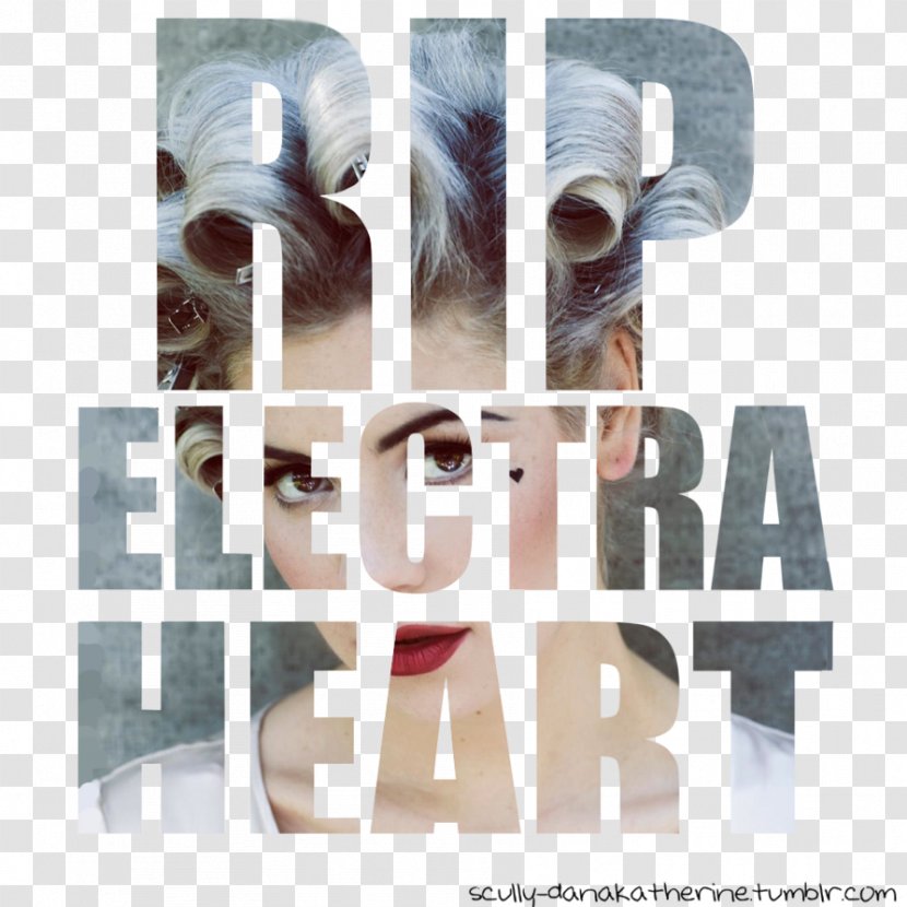 Graphic Design Froot Logo - Photography - Electra Heart Transparent PNG