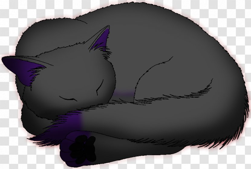 Whiskers Kitten Black Cat Dog - M Transparent PNG