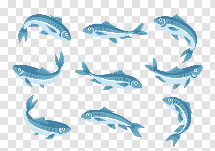 Dolphin Wine European Pilchard Sardine - Cartilaginous Fish - Cute Whale Transparent PNG