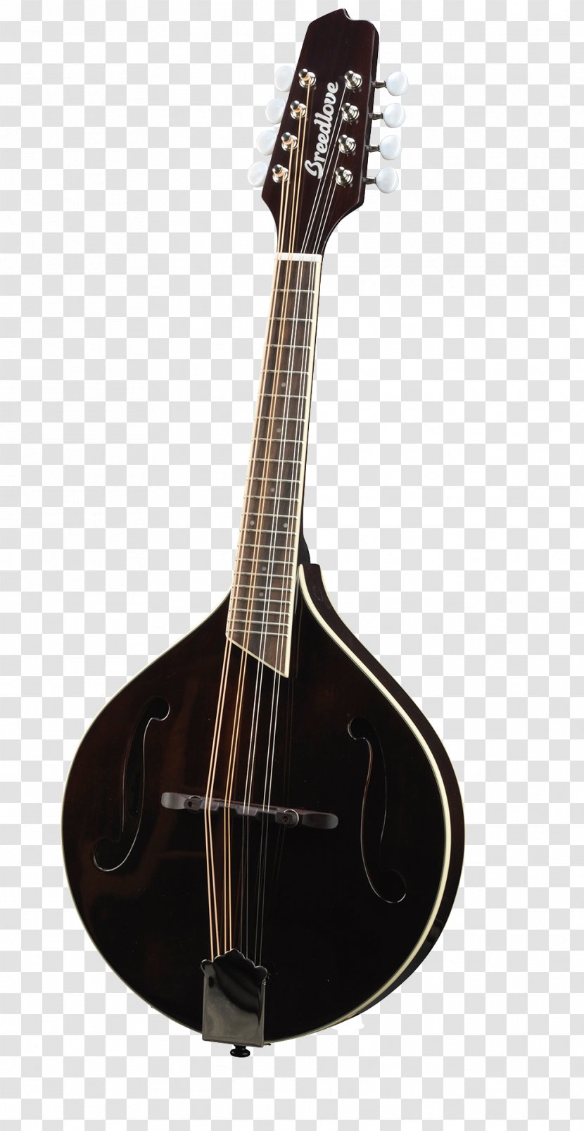 Mandolin Acoustic Guitar Tiple Acoustic-electric Cuatro - Watercolor Transparent PNG