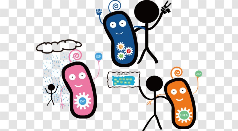 International Genetically Engineered Machine E. Coli Bacteria Clip Art - Artwork Transparent PNG