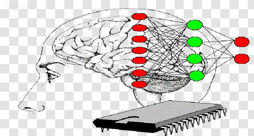 Expert System Artificial Intelligence Neural Network Problem Solving - Flower - Inteligencia Transparent PNG