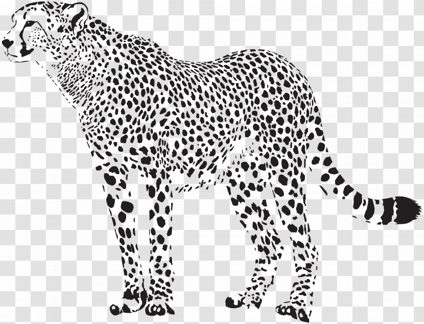 Cheetah Felidae Leopard Clip Art - Black And White - Silhouette Transparent Image Transparent PNG