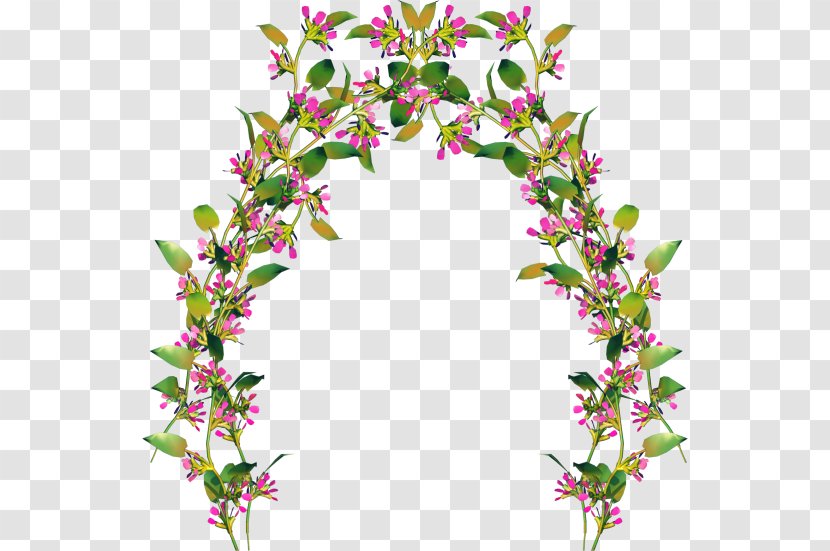 Floral Design Centerblog Cut Flowers - Flower Arranging Transparent PNG