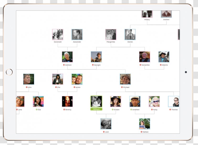 Screenshot Family Tree App Store Trade Transparent PNG