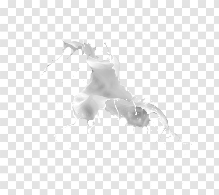 Cows Milk Drink - Monochrome - Splash Of Transparent PNG