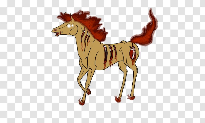 Foal Mustang Stallion Colt Pony - New Entry Transparent PNG
