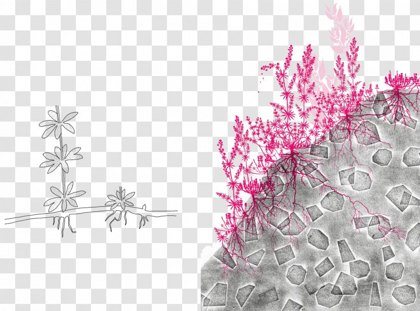 Floral Design Desktop Wallpaper Petal Pattern - Magenta Transparent PNG