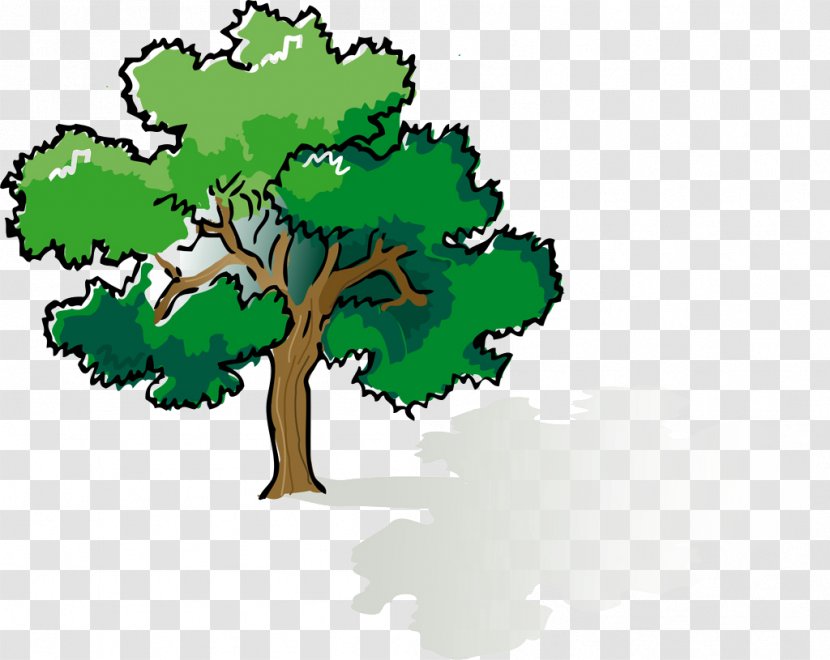 Shade Tree Oak Clip Art - Branch - Lush Transparent PNG