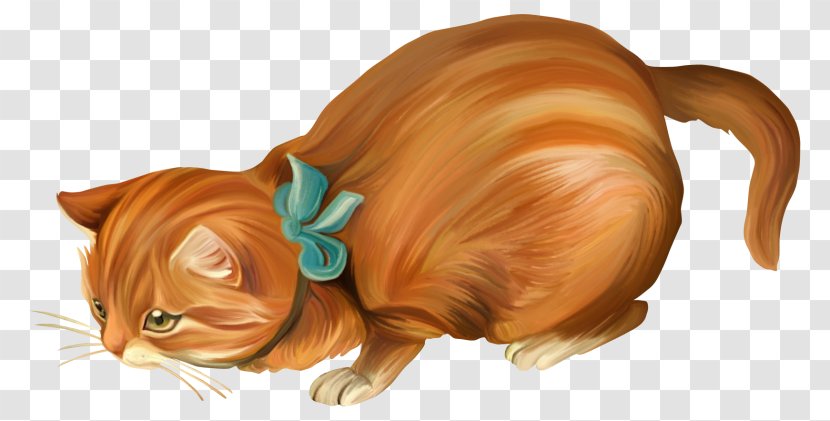 Kitten Cat Cuteness Icon - Carnivoran - Cute Transparent PNG