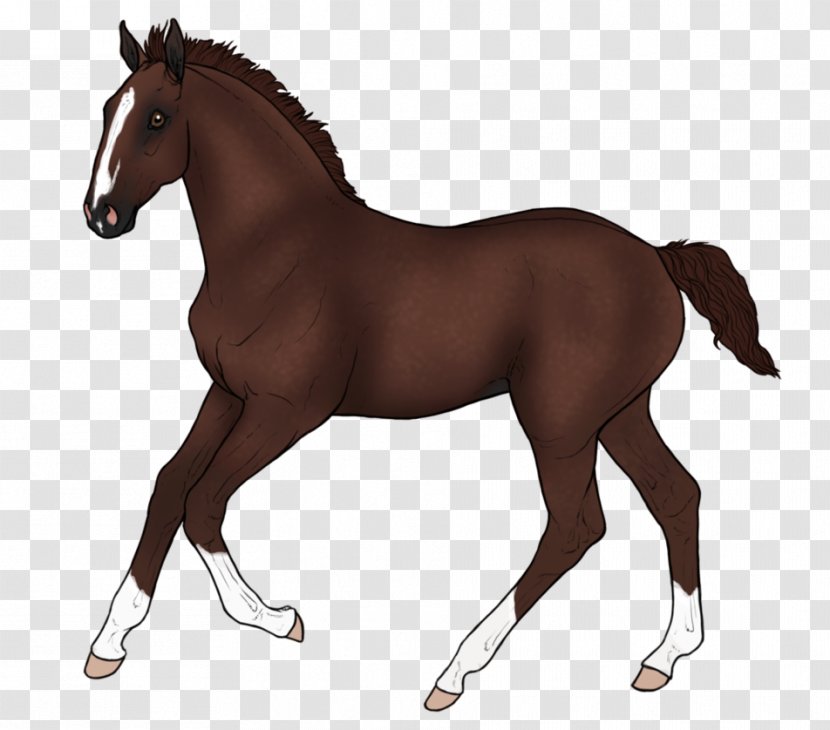 Mustang Foal Stallion Mare Rein - Horse Transparent PNG