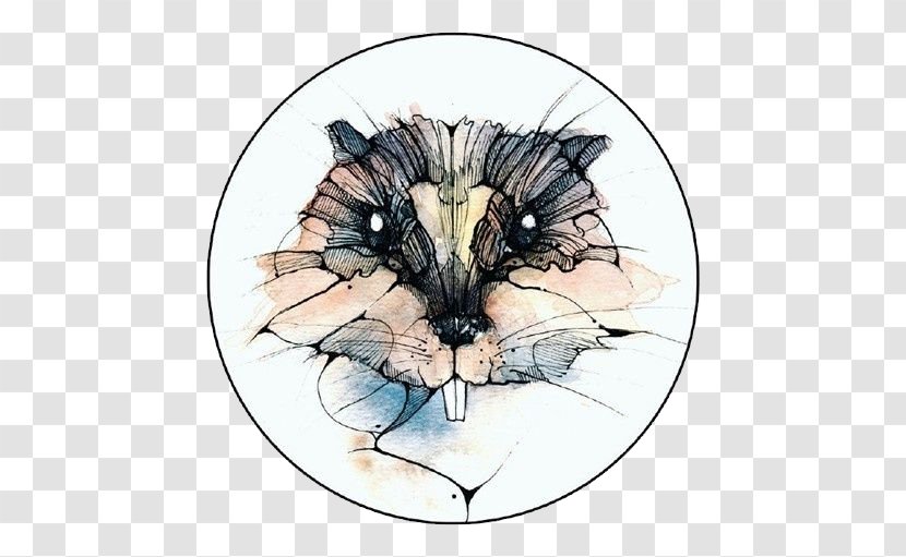Squirrel Whiskers Watercolor Painting Illustration - Cat Like Mammal - Cartoon Transparent PNG