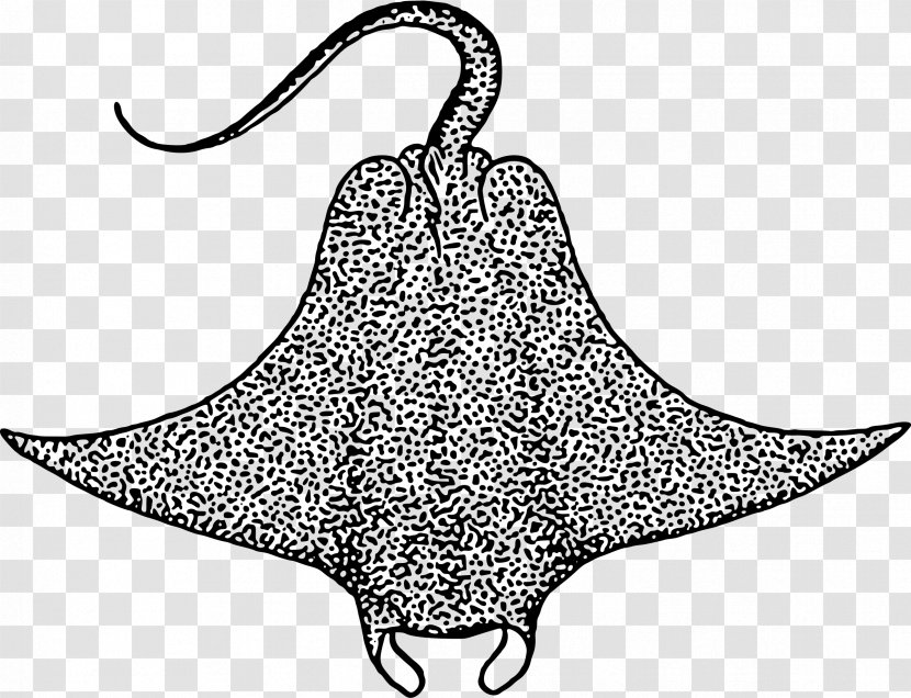 Devil Fish Drawing Giant Oceanic Manta Ray Clip Art - Organism - Sea Clipart Transparent PNG