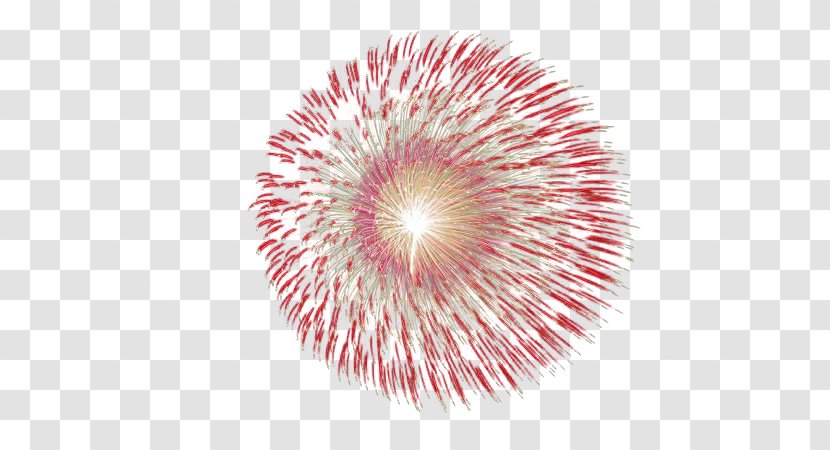 Adobe Fireworks Icon - Firecracker - Round Festive Transparent PNG