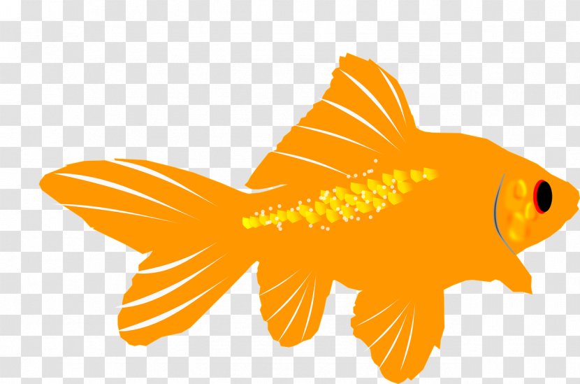 Goldfish Aquarium Clip Art - Marine Biology - Fish Transparent PNG