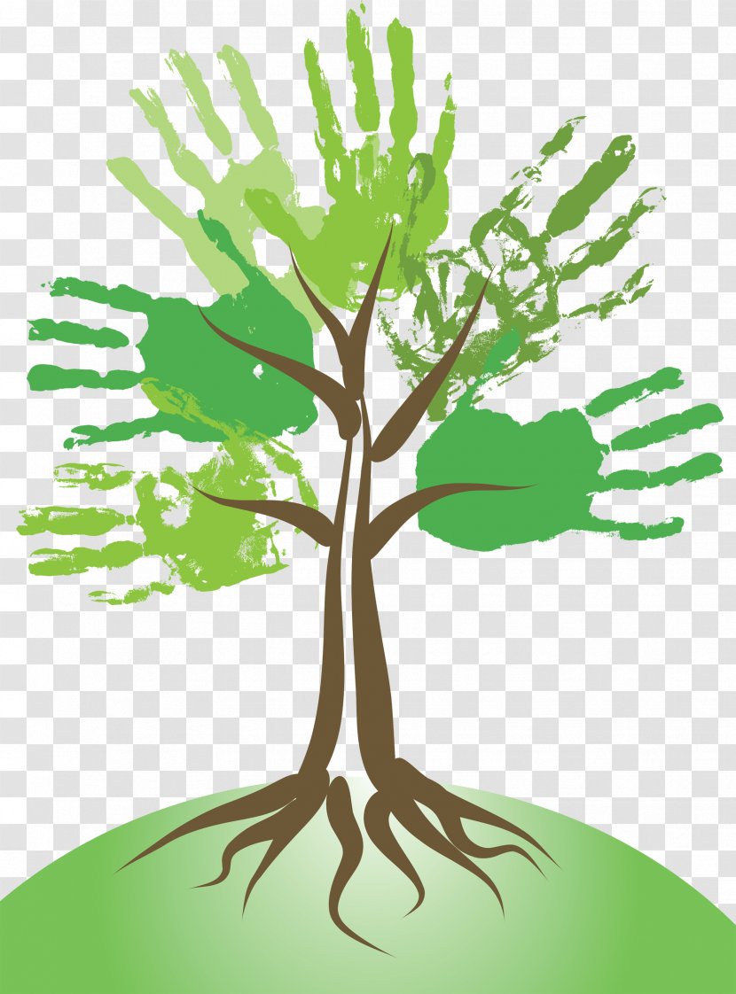 Tree Photography - Royaltyfree - Hand-painted Giving Transparent PNG