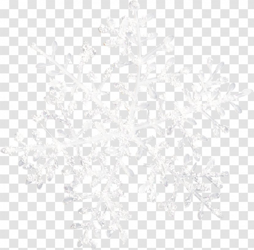 Black And White Point Angle Pattern - Snowflake Image Transparent PNG