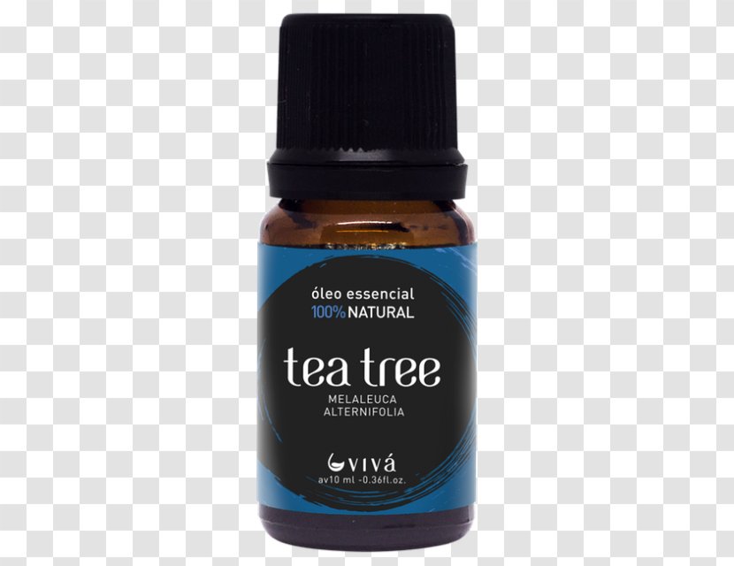 Essential Oil Tea Tree French Lavender Cananga Odorata - Gum Trees Transparent PNG