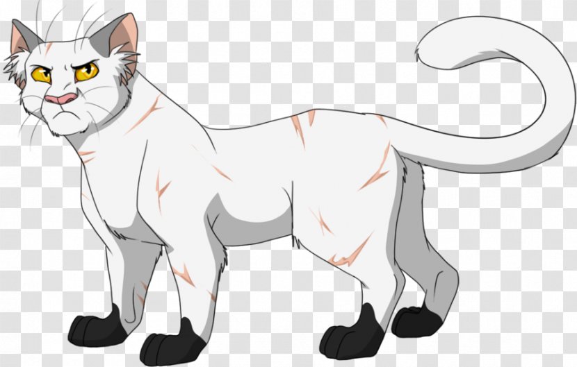 Cats Of The Clans Warriors Blackstar Into Wild - Small To Medium Sized - Cat Transparent PNG