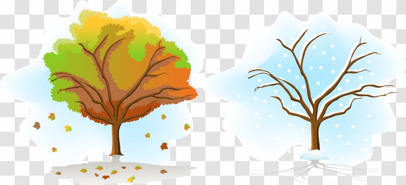 Season Tree Autumn Illustration - Vector And Winter Trees Transparent PNG