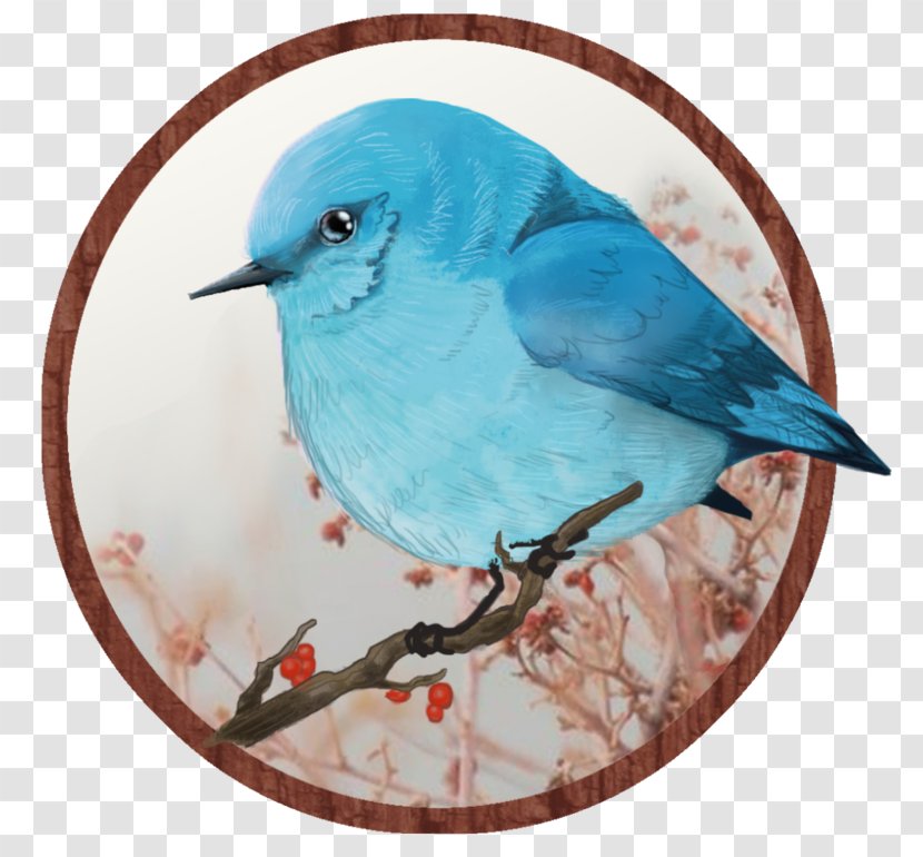 Bird Owl Fan Art Beak Feather - Blue Transparent PNG