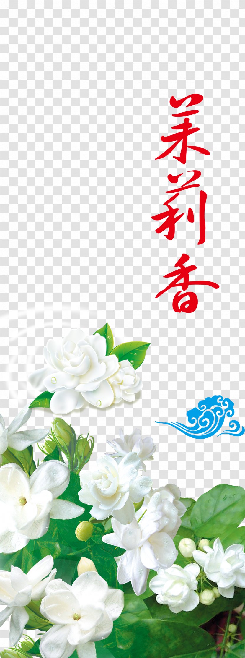 Arabian Jasmine Jasminum Officinale Flower Computer File - Arranging Transparent PNG