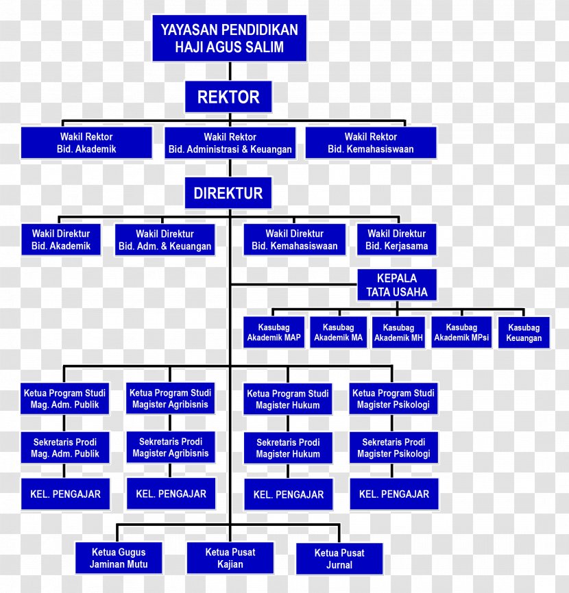 Medan Area University Organizational Structure Master's Degree - Struktur Organisasi Transparent PNG