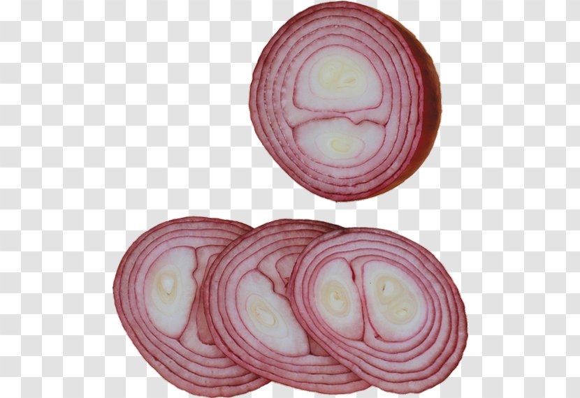 Red Onion Vegetable Garlic - Onions Transparent PNG