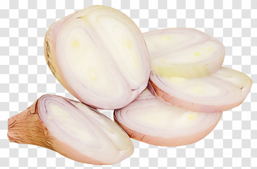 Pistachio Vegetable Nut Fruit Commodity Transparent PNG