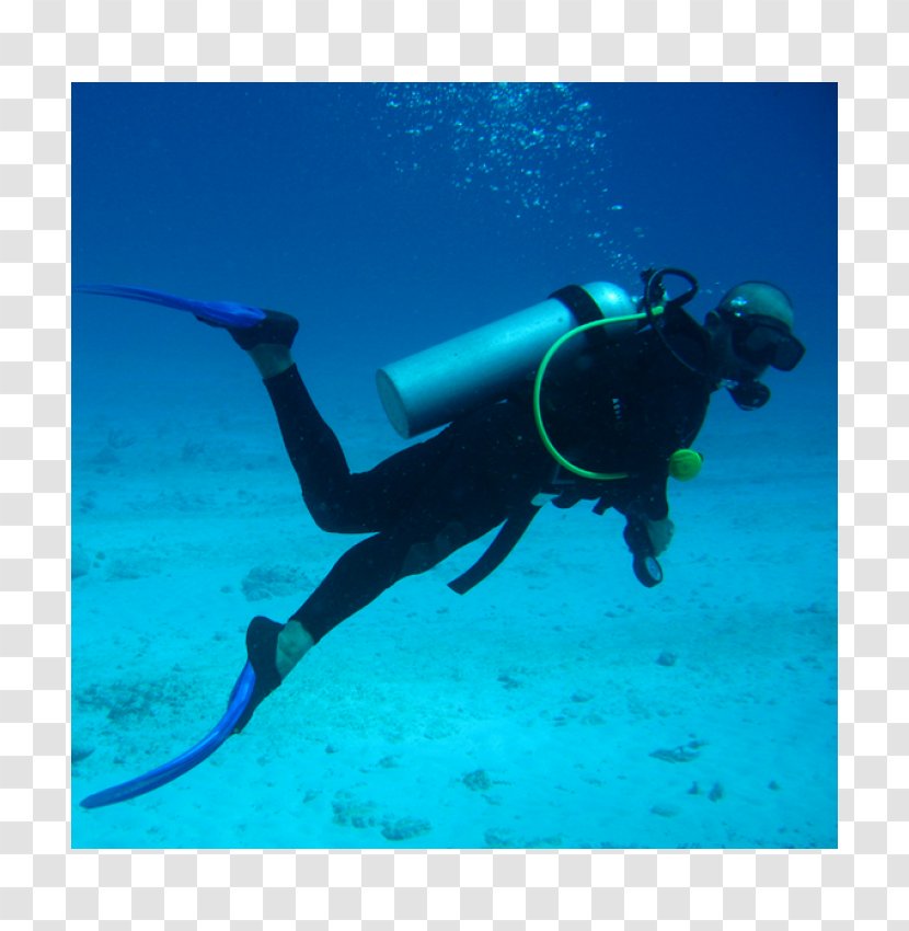 Scuba Diving Underwater Set Equipment - Fin Transparent PNG