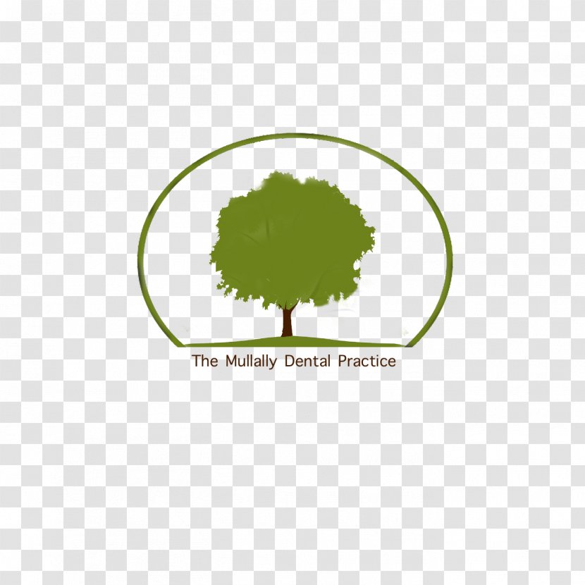 The Mullally Dental Practice Dentistry Implant Human Tooth - Whitening - Brand Transparent PNG