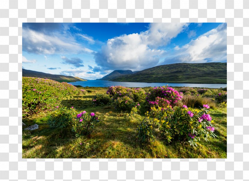 Wild Atlantic Way Leenaun Killary Harbour The Burren Inishowen - Mount Scenery - Harbaour Transparent PNG