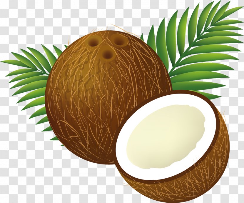 Clip Art Coconut Water Image Transparent PNG