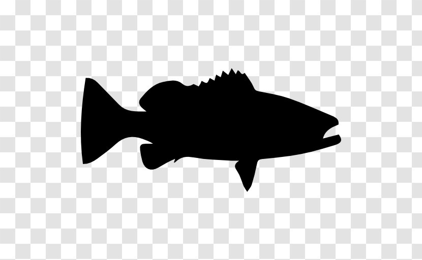 Fish Grouper Transparent PNG