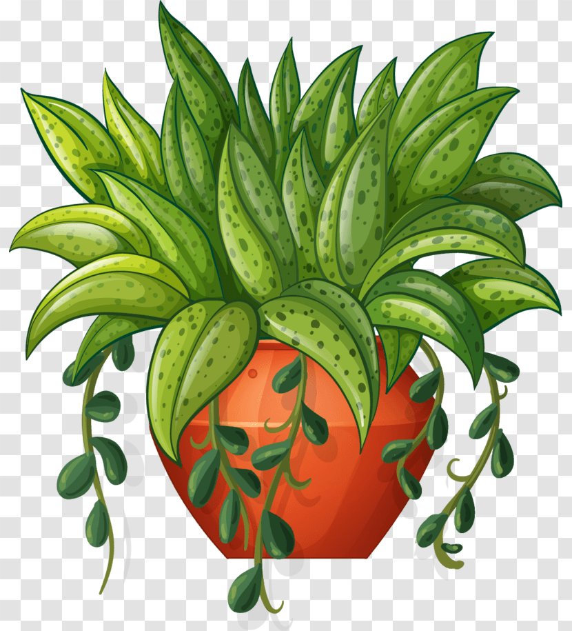 Vector Graphics Flowerpot Illustration Plants Design - Plant - Bonsai Button Transparent PNG