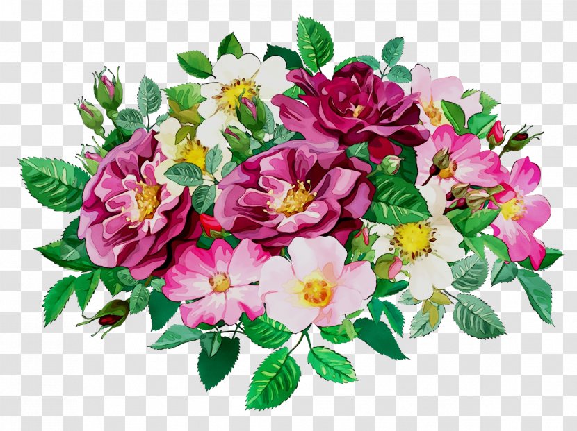 Cabbage Rose Image Garden Roses Day Floral Design - Branch - Flower Arranging Transparent PNG
