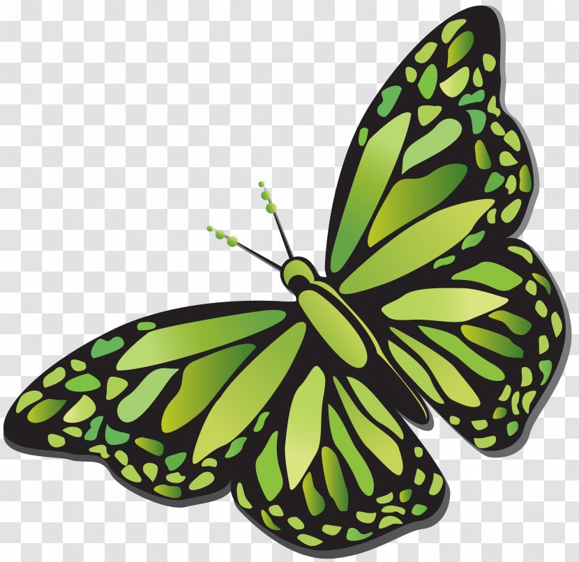 Green Tea Ice Cream Matcha Milk - Child - Butterfly Transparent PNG